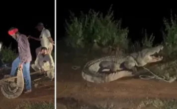 बरेली हिंसा मामला: मौलाना तौकीर रजा के मददगारों के होटल सील, सीएम योगी का बुलडोजर भी गरजेगा?