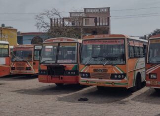 दीपावली व छठ पर्व पर चलेंगी अतिरिक्त बसें, हर यात्री की यात्रा होगी सुरक्षित और सुगम