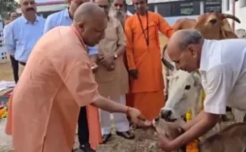 सीएम योगी ने गोरखनाथ मंदिर में की गोवर्धन पूजा, प्रदेशवासियों को दी शुभकामनाएं